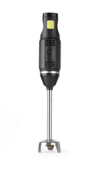Stabmixer